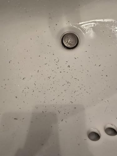 Customer photo review of Duo Peel Shot DIVAYA