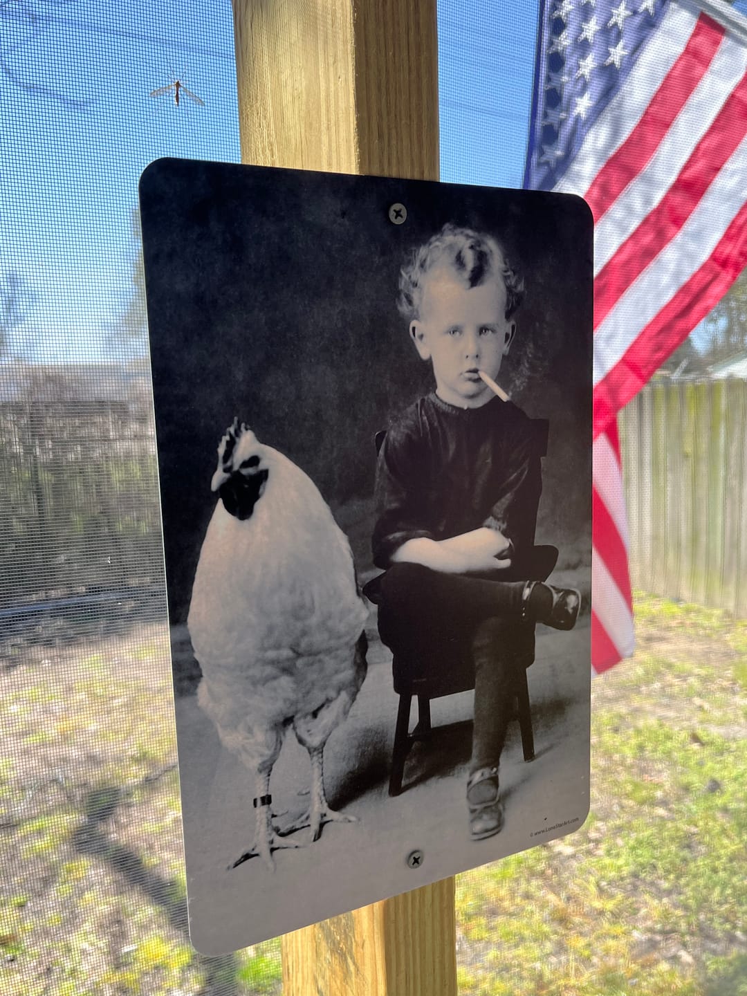 Customer photo review of Bizarre Strange Weird Boy - Metal Sign