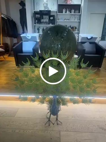 Customer video review of Pavone Elegante in Ferro Colorato per Decorare Esterni