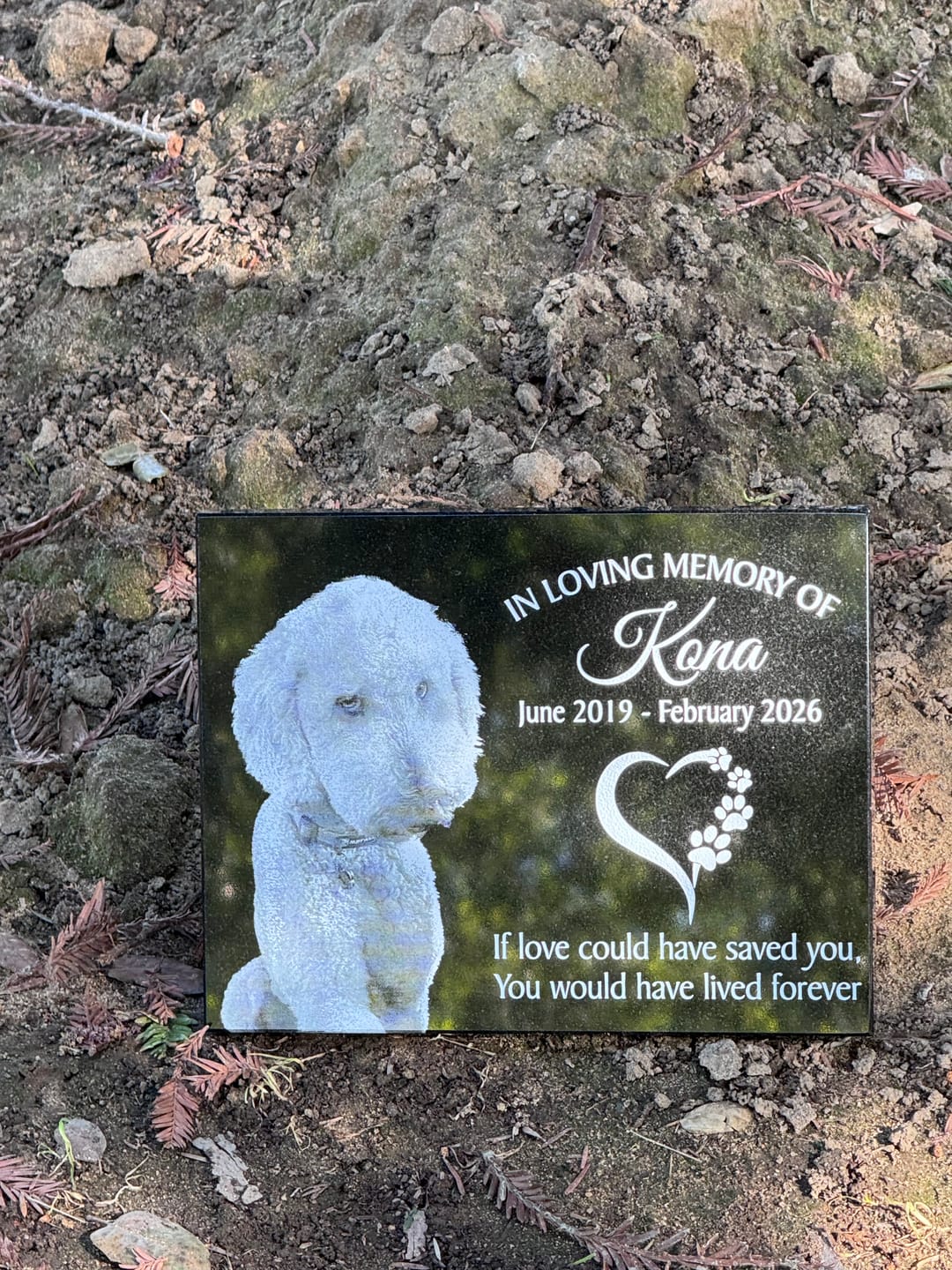 Customer photo review of Outdoor Personalized Dog Memorial Plaque You Left Pawprints On My Heart Personalized Outdoor Plaque