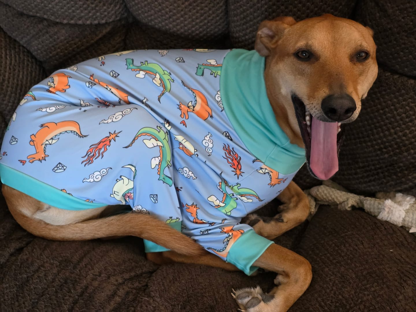 Customer photo review of Dog Pajama - Dragons