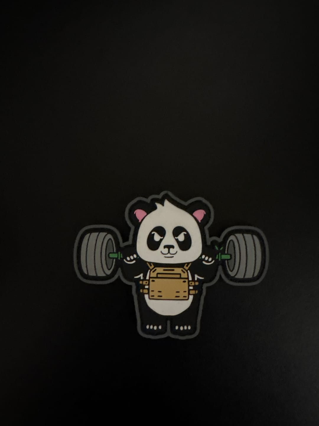 Customer photo review of Parche Panda