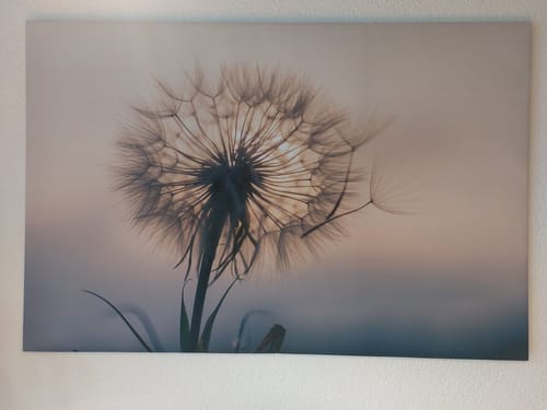 Customer photo review of Foto-Leinwand ohne Rahmen