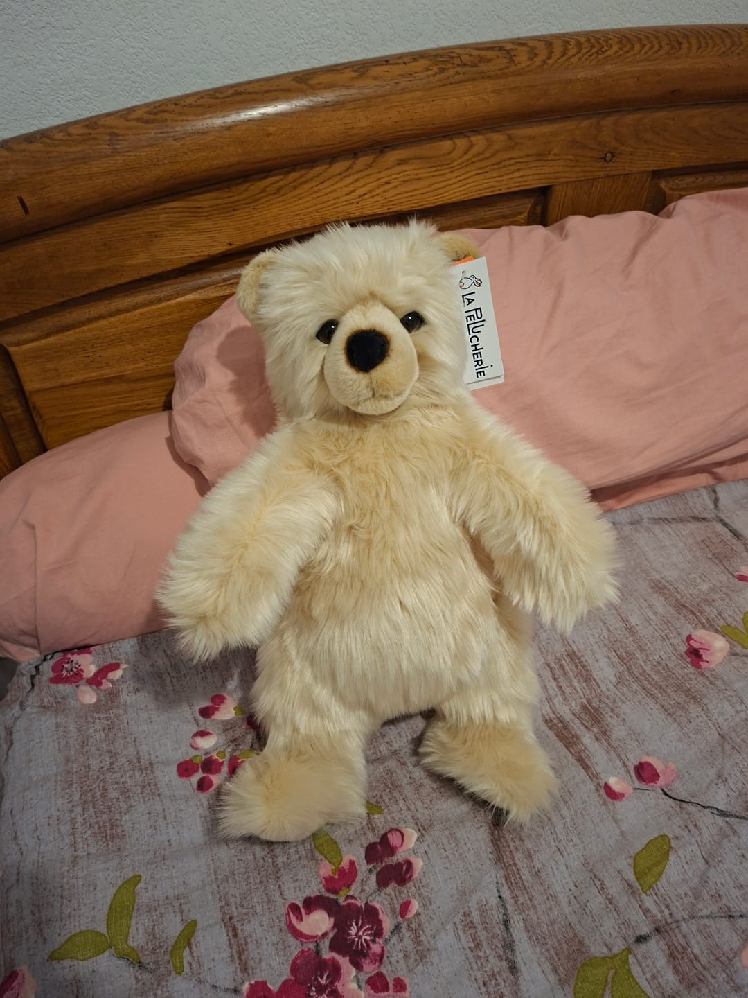 Customer photo review of Ma peluche Ours Jules