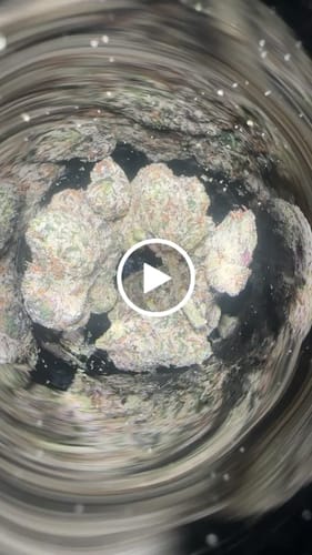 Customer video review of Pine Park Ice Cream Cake Classic Hemp Flower