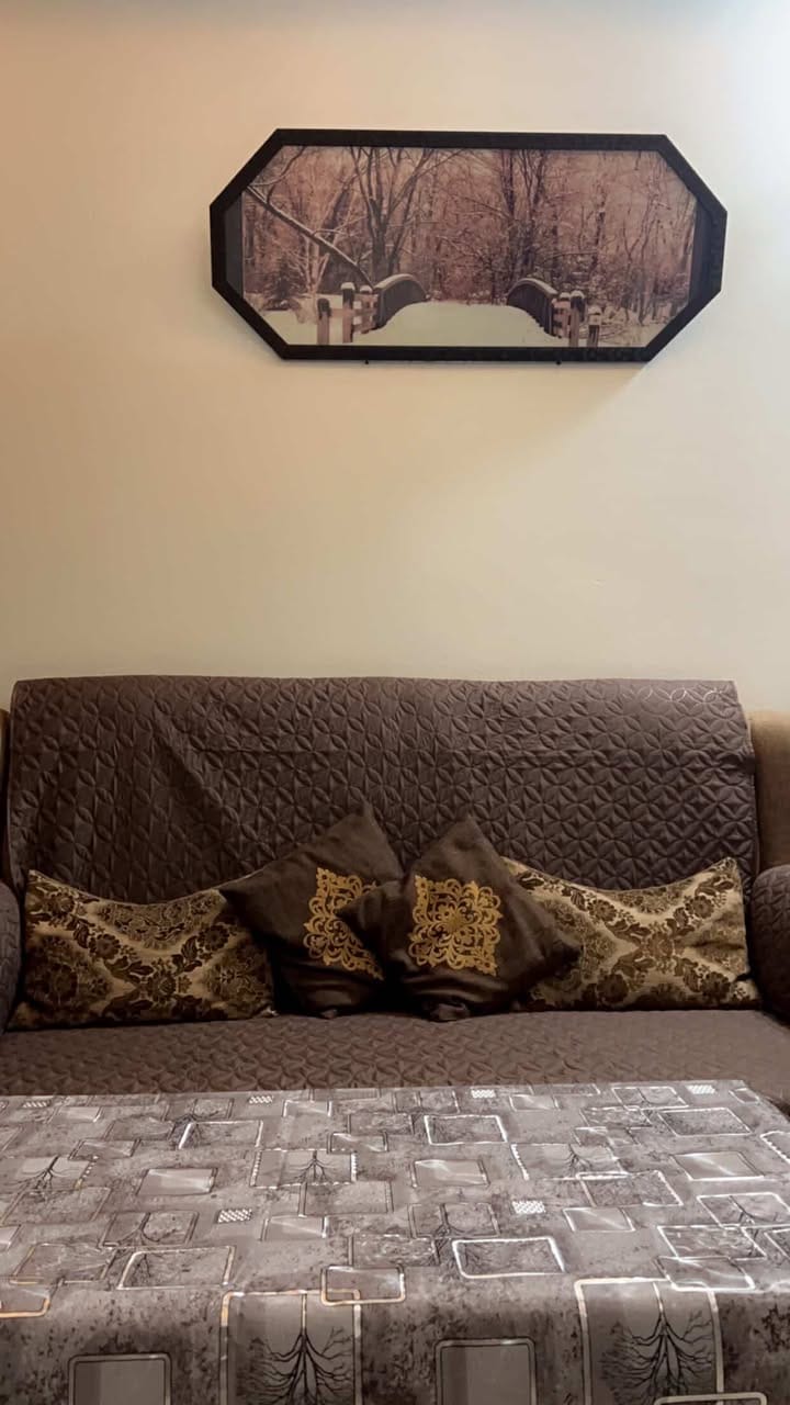 Customer photo review of BROWN ULTRASONIC SOFA COVER