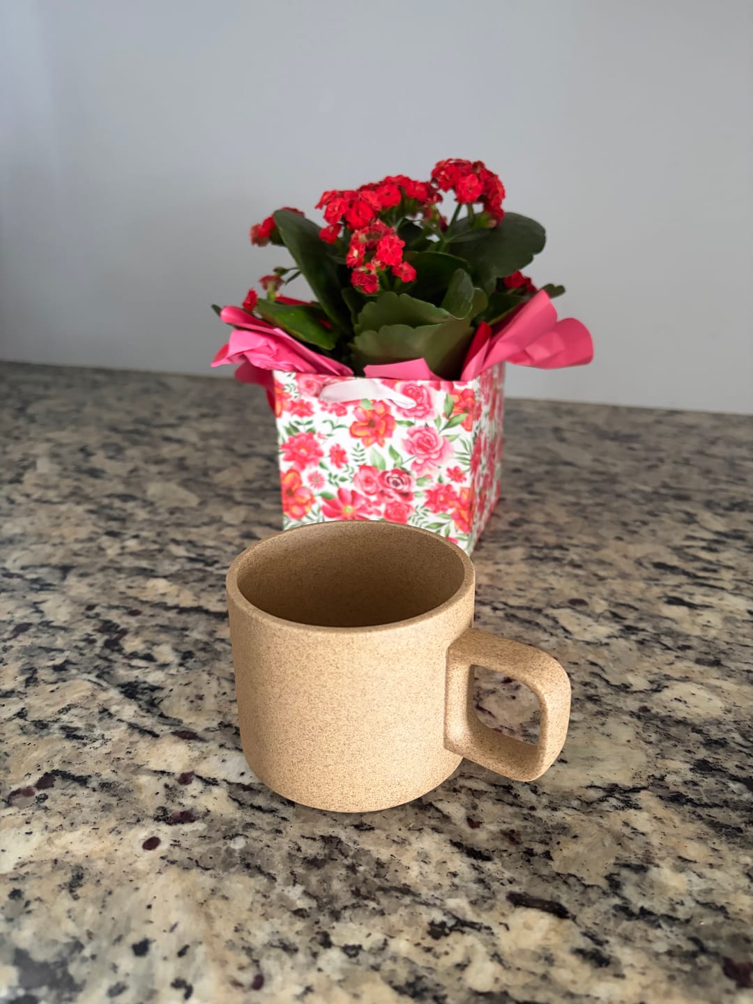 Customer photo review of Mug in Natural