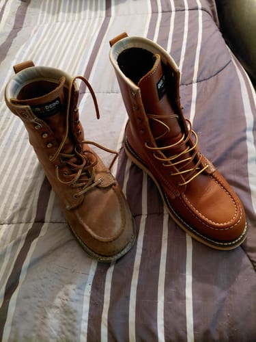 Customer photo review of Prograde Orthotic Insole