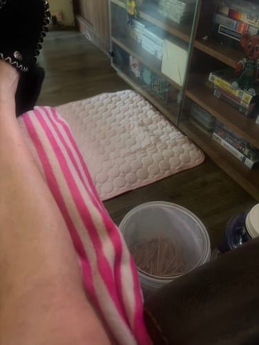 Customer photo review of Protect Your Dog From Overheating And Dangerous Heat Stress With IcyNap