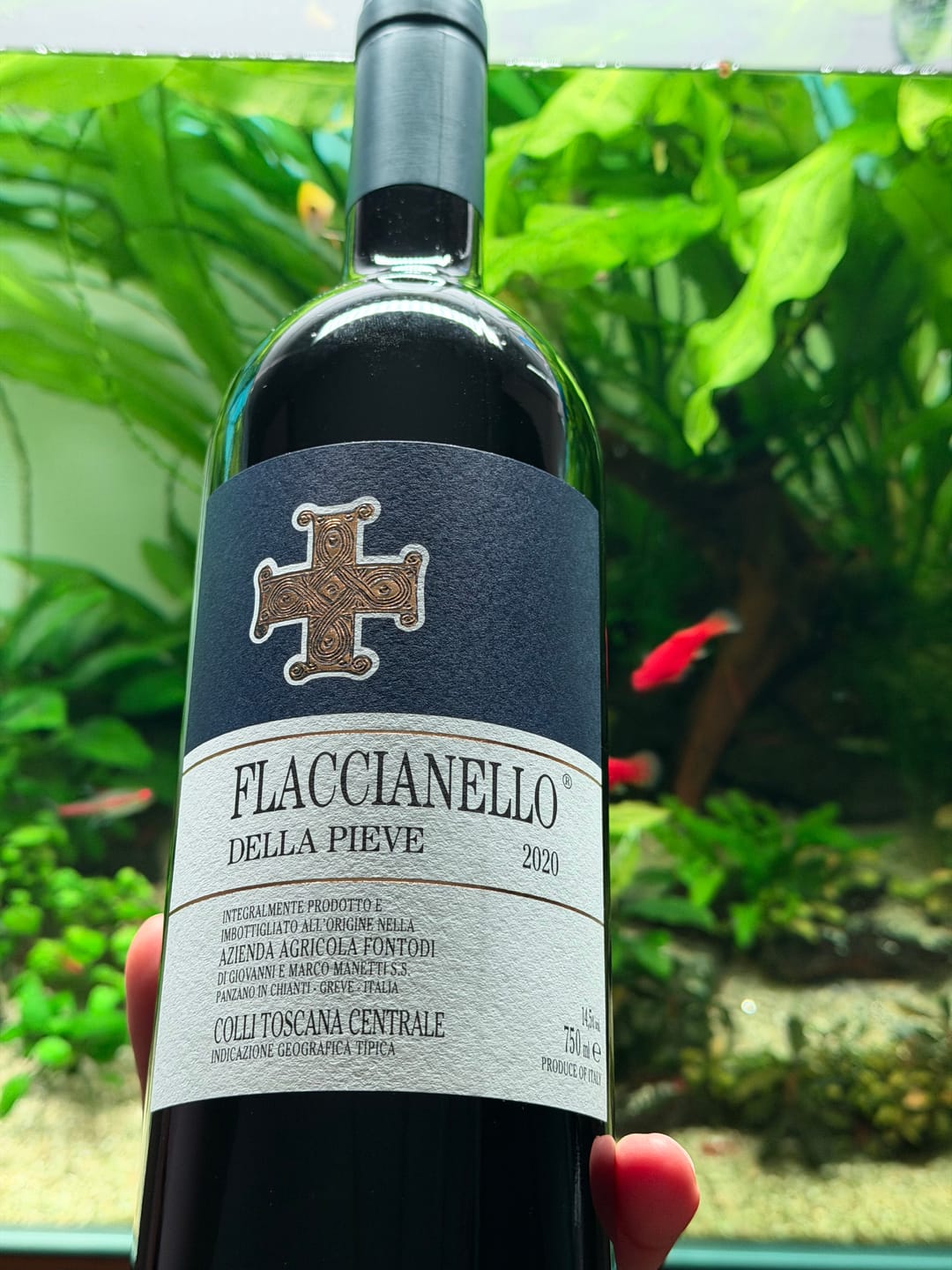 Customer photo review of Fontodi Flaccianello della Pieve 2020