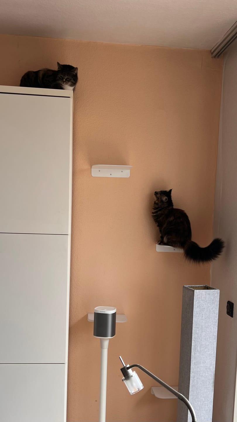 Customer photo review of STYA Katzen Kletterwand | Katzen Treppe WL340 | Mit 3 Stufen