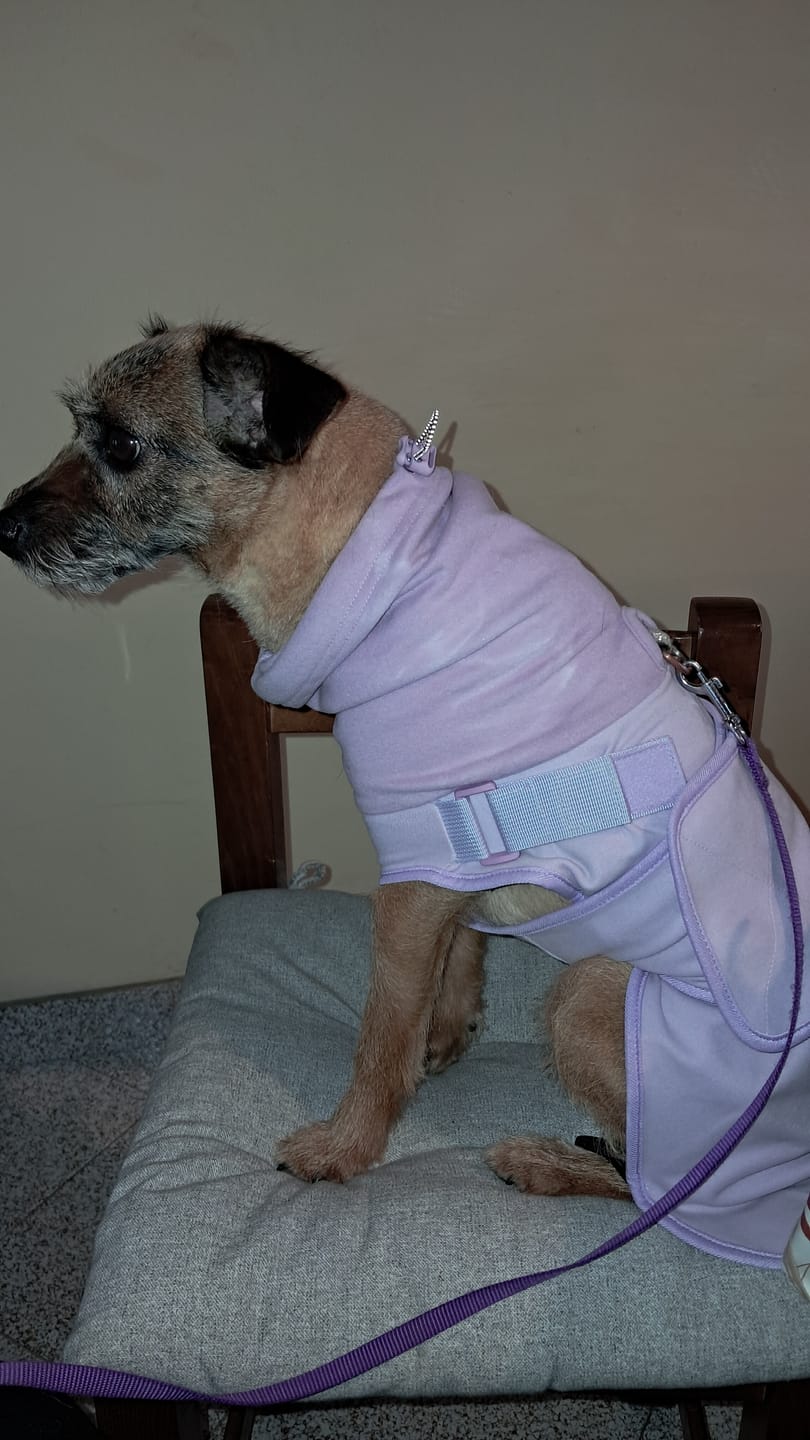 Customer photo review of Anxiety Calming Suit