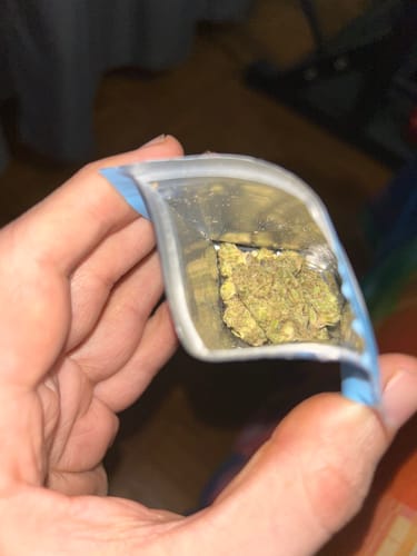 Customer holding a clear bag showing the light green Montgomery Benz THCA Flower inside.