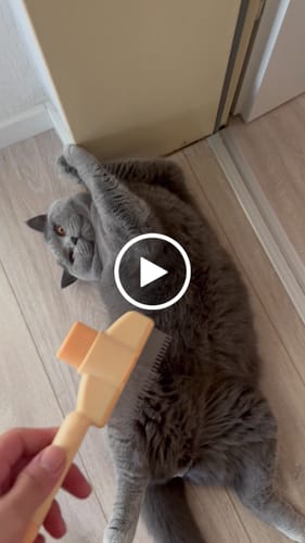 Customer video review of Fellblitz-Bürste - Der Bestseller