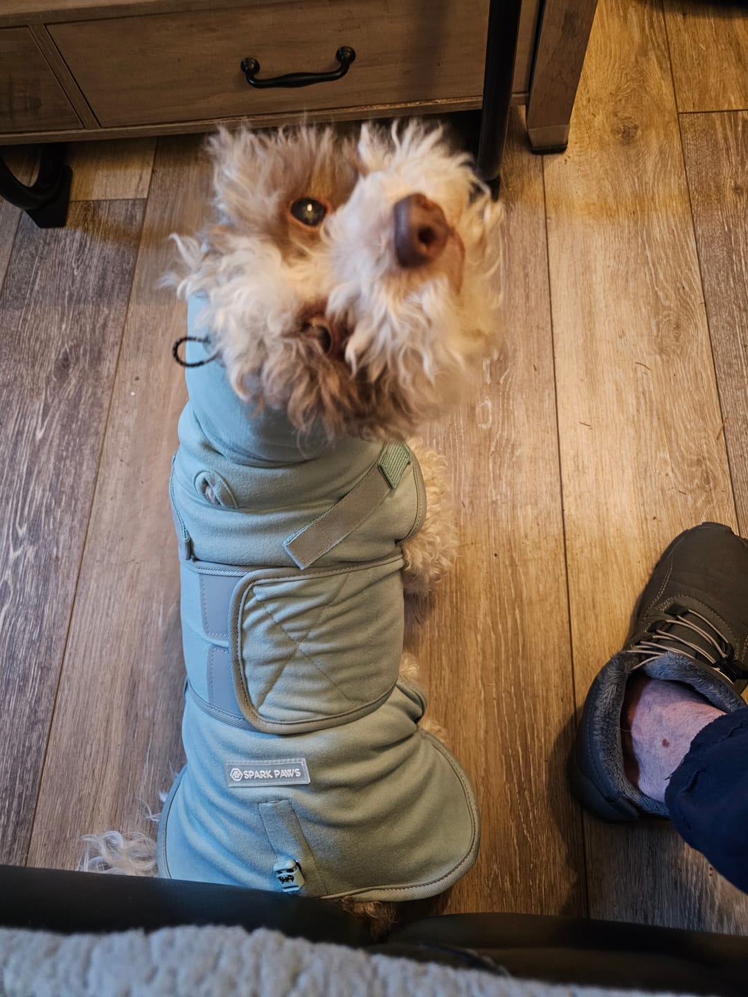 Customer photo review of Anxiety Calming Suit
