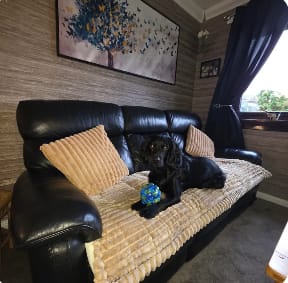 Customer photo review of LuxeLounge™ Couch Cover - Premium Protection Dogs Love