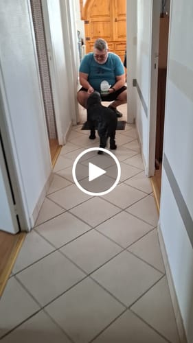 Customer video review of Complément articulations