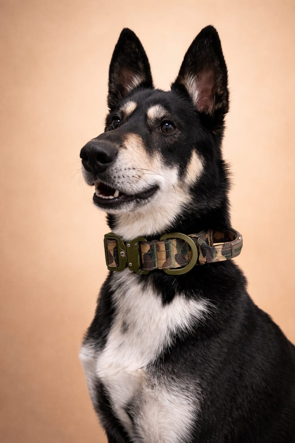 Customer photo review of 4cm Lighter Combat® Collar | Green Camouflage