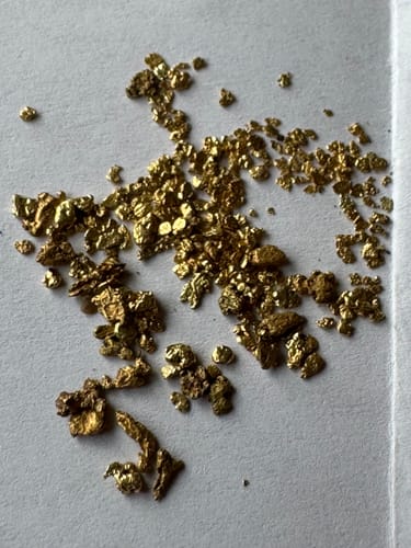 Customer photo review of 10 Lb. NUGGET RESERVE ELITE™ Gold Paydirt Unsearched