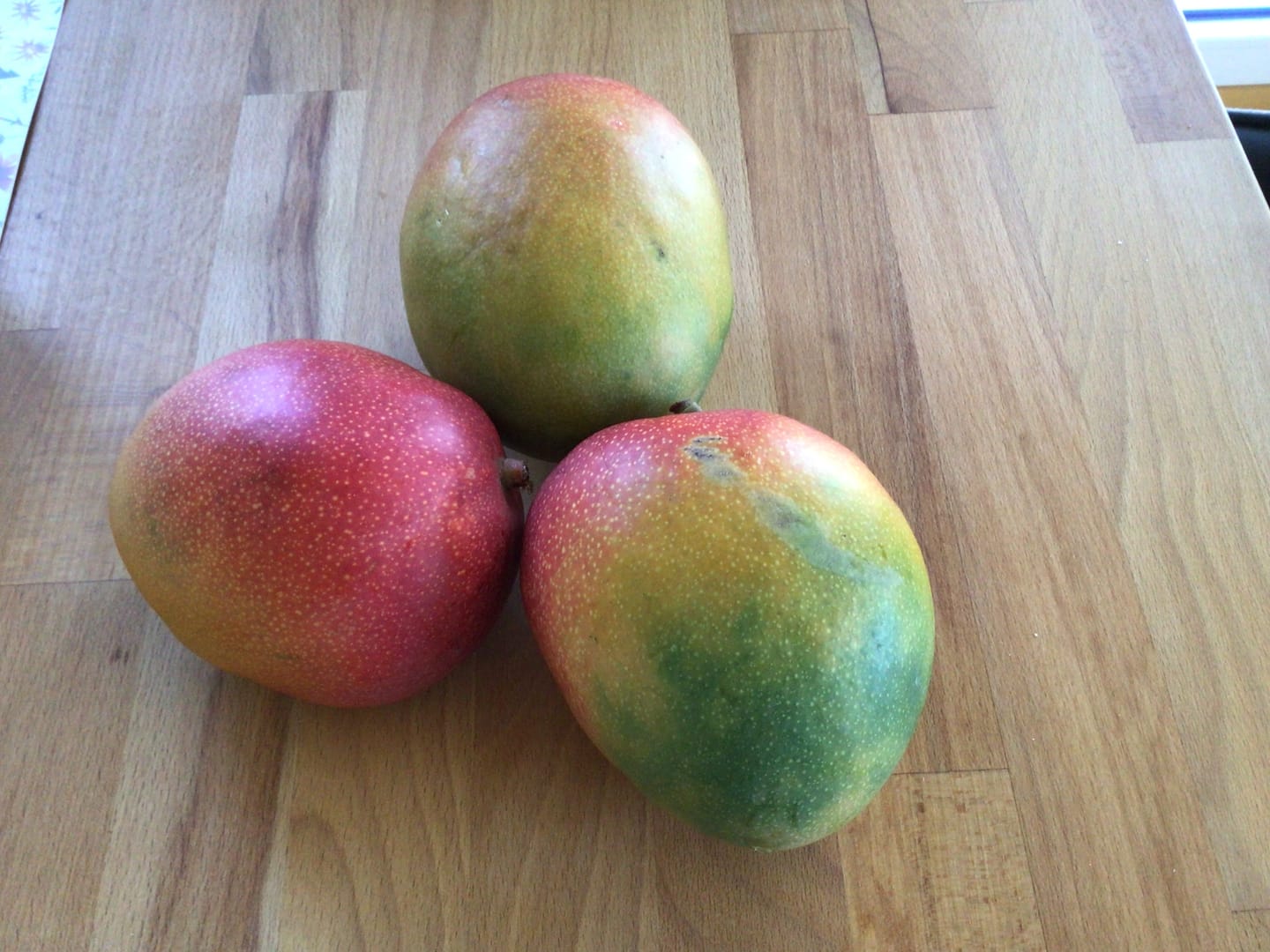 Customer photo review of Mango "Edward" Bio Flugware baumgereift