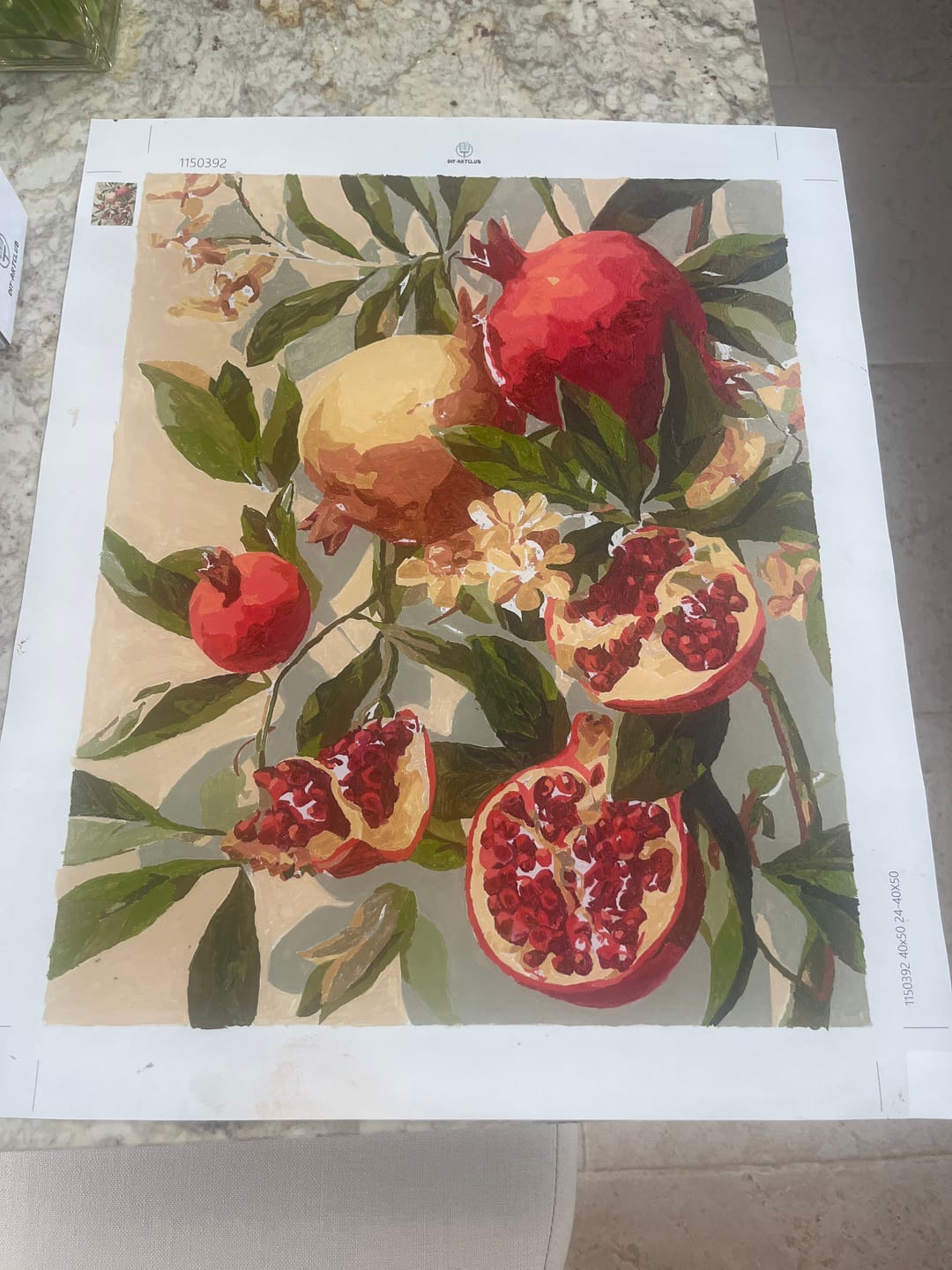 Customer photo review of Blooming pomegranates | Paint by Number