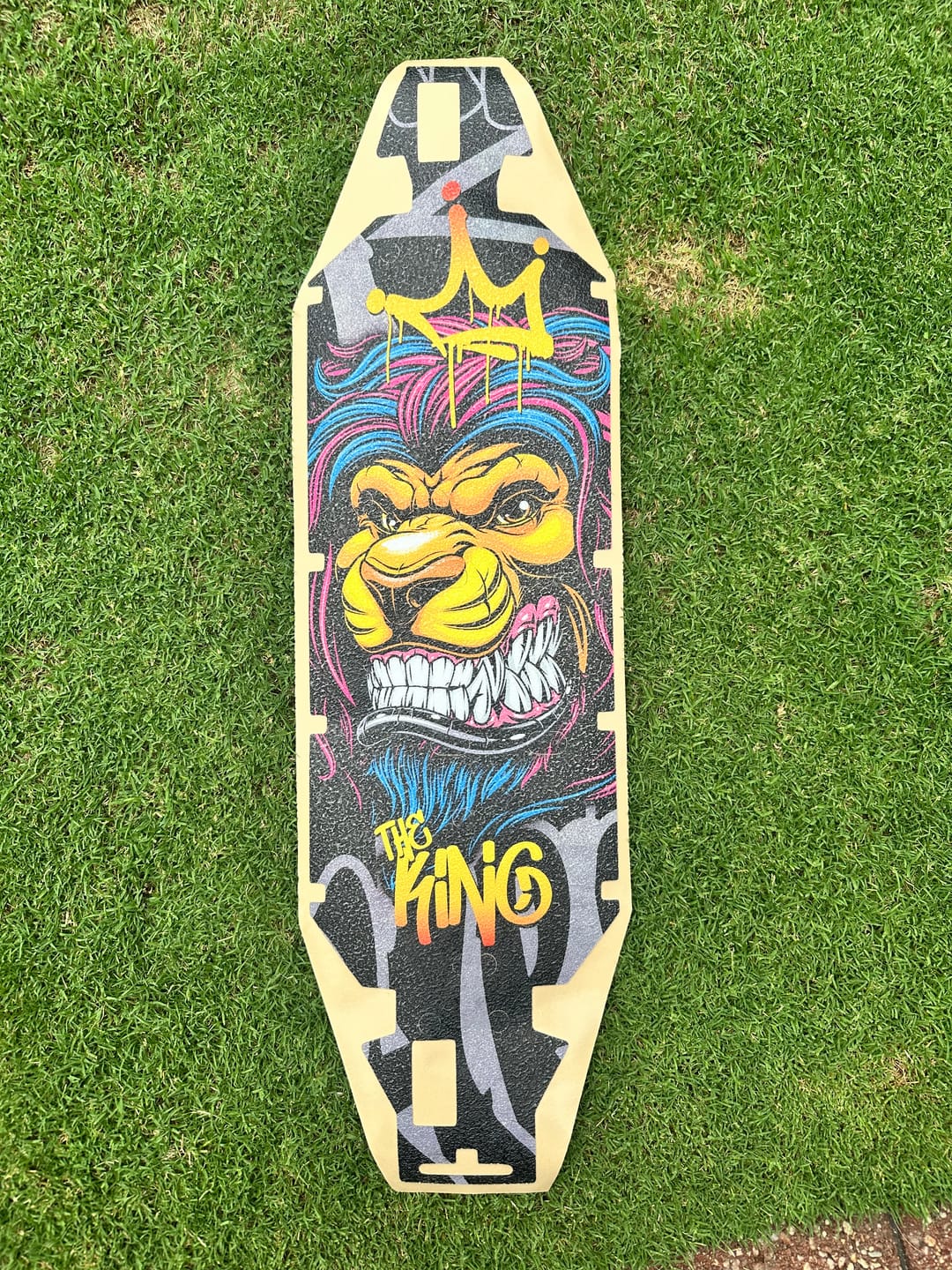 Customer photo review of 30DEGREE NORTH 5T / LOSI 5T 2.0 -  "THE KING" chassis protector skin