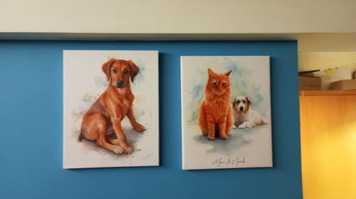 Customer photo review of Πορτραίτο Κατοικίδιου - Νερομπογιά