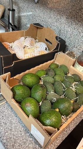Kunde zeigt eine Kiste voller frischer, grüner Reed & Hass Avocados auf einer Küchentheke.