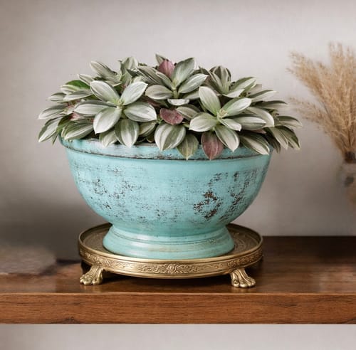 Customer's healthy houseplant in a decorative turquoise planter, shown with their positive review of the pest spray.