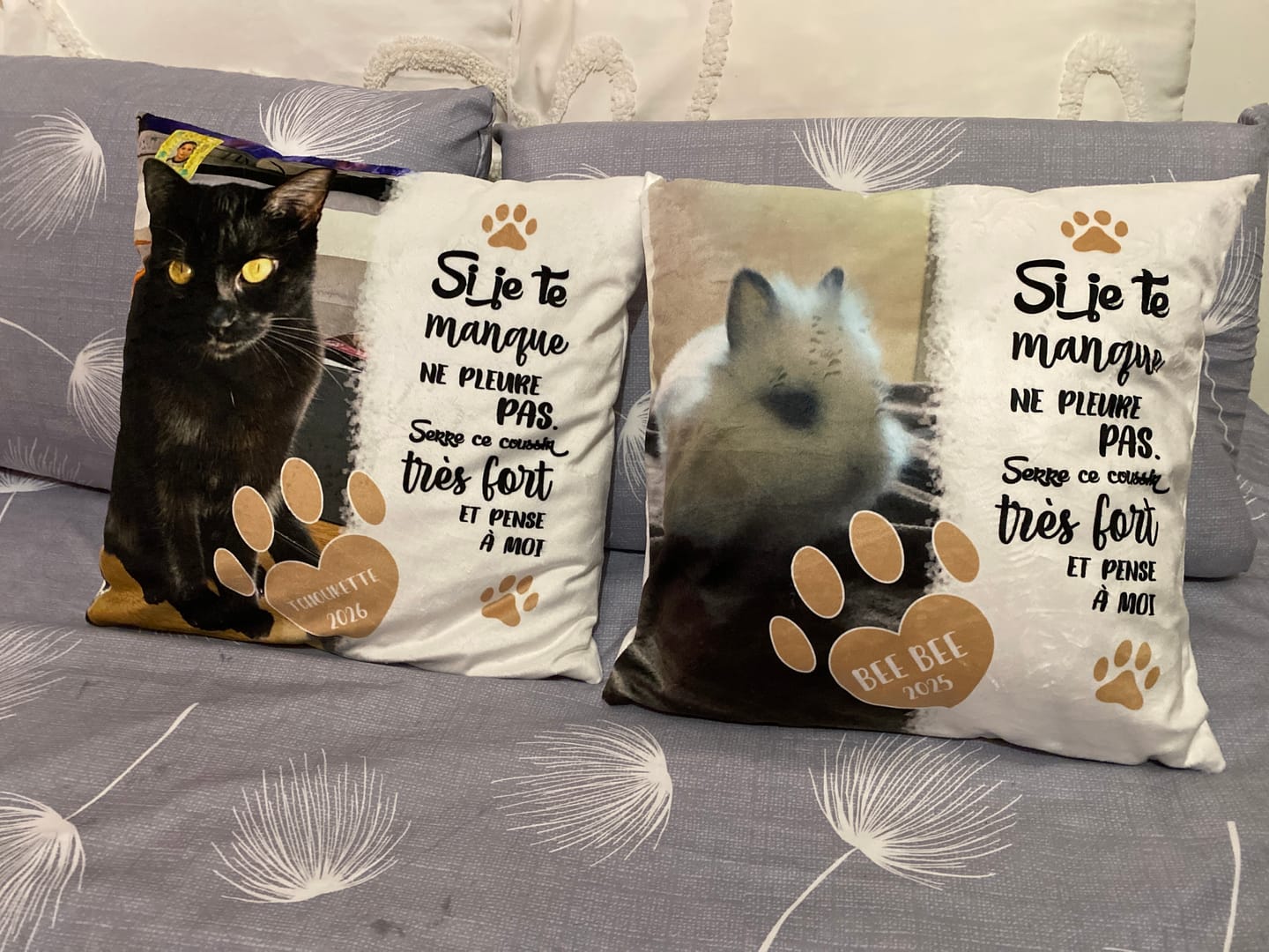 Customer photo review of Si je te manque - Coussin personnalisé