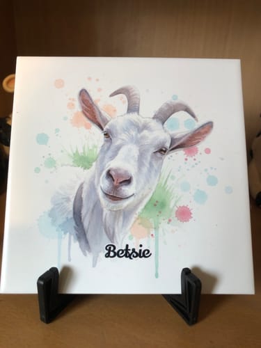 Customer photo review of Tegel met Gepersonaliseerd Huisdier Portret in Aquarelstijl