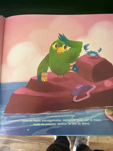 Customer photo review of PRE-VENTA| Bori: A Vuelo de Pájaro | Libro Bilingüe