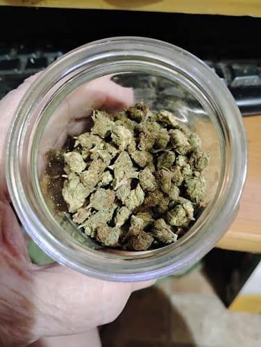 Customer photo review of Girl Scout Cookies Smalls