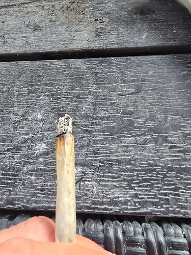 Close-up of a customer holding a lit joint made with Golden Mousse hash.