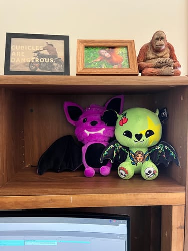 Customer photo review of Minty the Bat Plushie