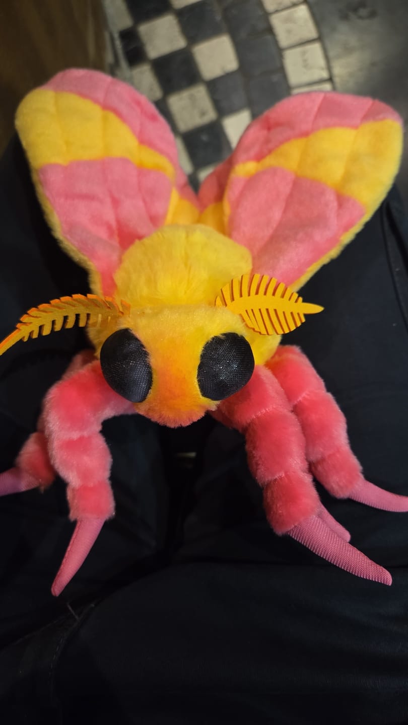 Customer photo review of Rosy Maple Moth Soft Stuffed Plush Toy