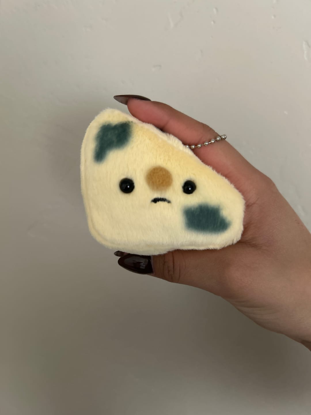 Customer photo review of Forgotten Moldy Parmesan Cheese