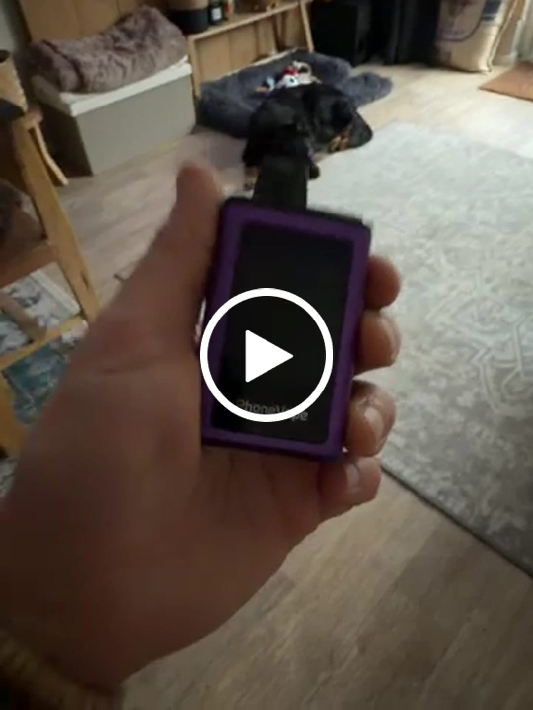 Customer video review of JNR Phonevape 30000 Puffs Disposable Vape (Box of 10)
