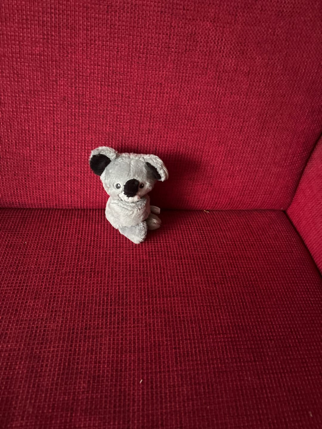 Customer photo review of Mini Lotgenootje Koala