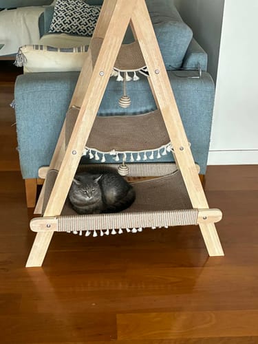 Customer photo review of Multifunctional A-Frame Hammock Cat Climbing Frame - Height 113cm
