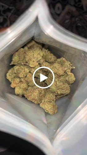 Customer video review of Raspberry Kush - 28 Grams - Indica