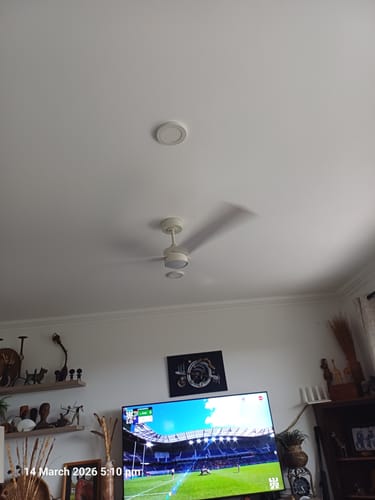 Customer photo review of Francolin 2.0 White DC Ceiling Fan with ABS Blades and Removable Light