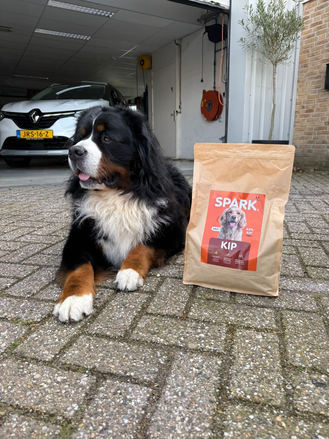 Customer photo review of V2.0 - Volwassen - Kip met Zoete Aardappel