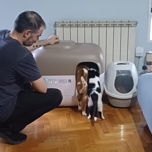 Customer photo review of Self-Cleaning Litter Box