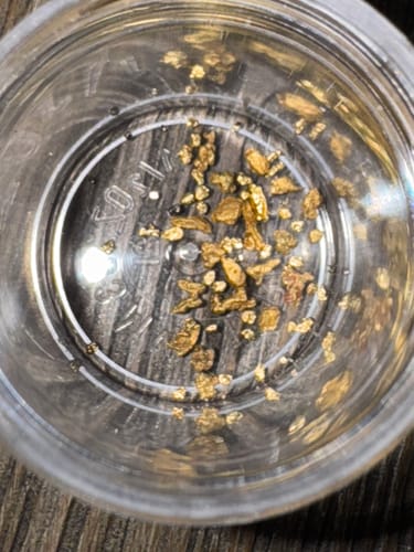 Customer photo review of *TROGO* Flawless '$5,000 GOLD NUGGET DISCOVERY' - Gold Panning Paydirt