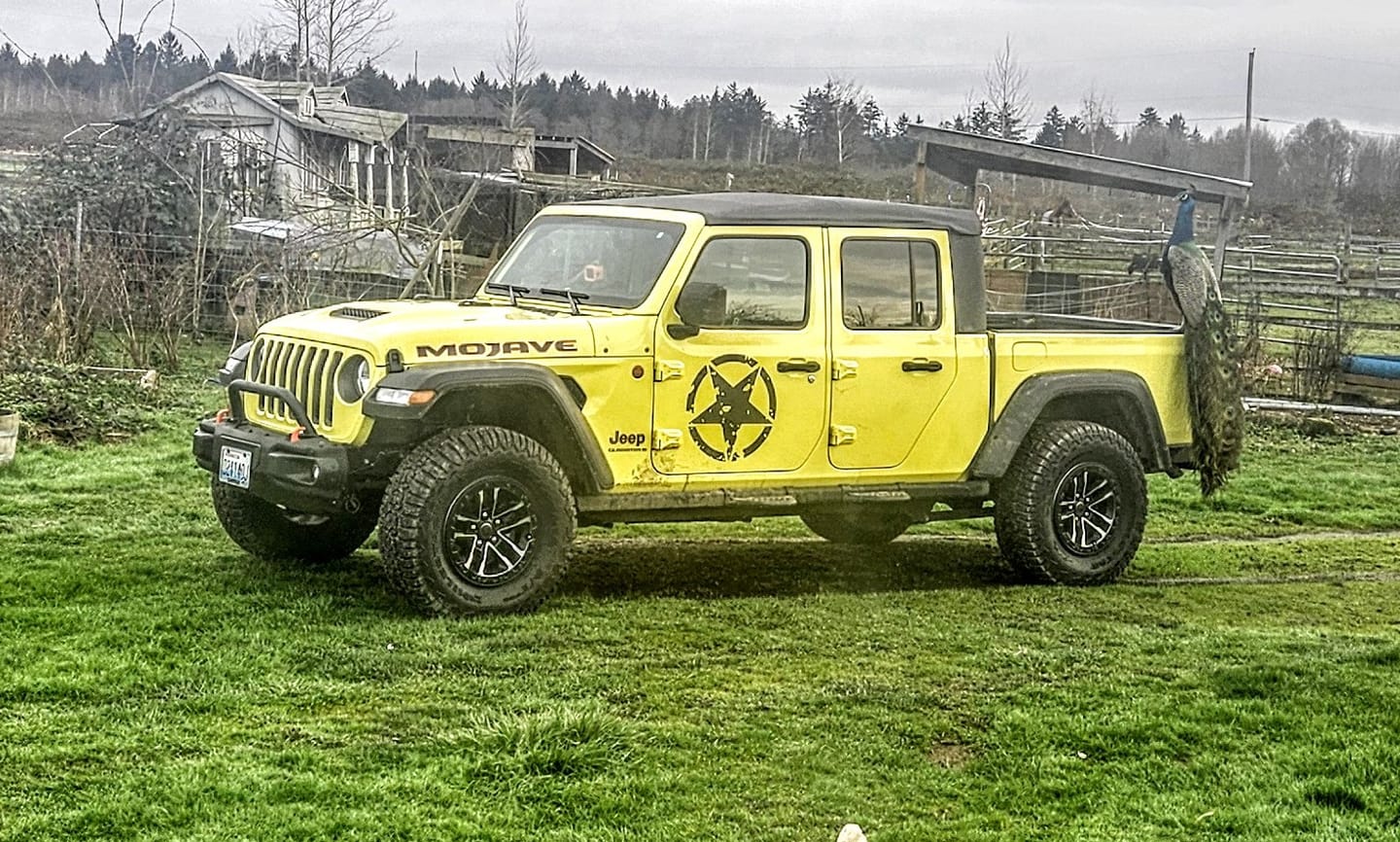 Customer photo review of JEEP Gladiator Emblem Overlay Decal Set | Fits 2020+ Jeep Gladiator