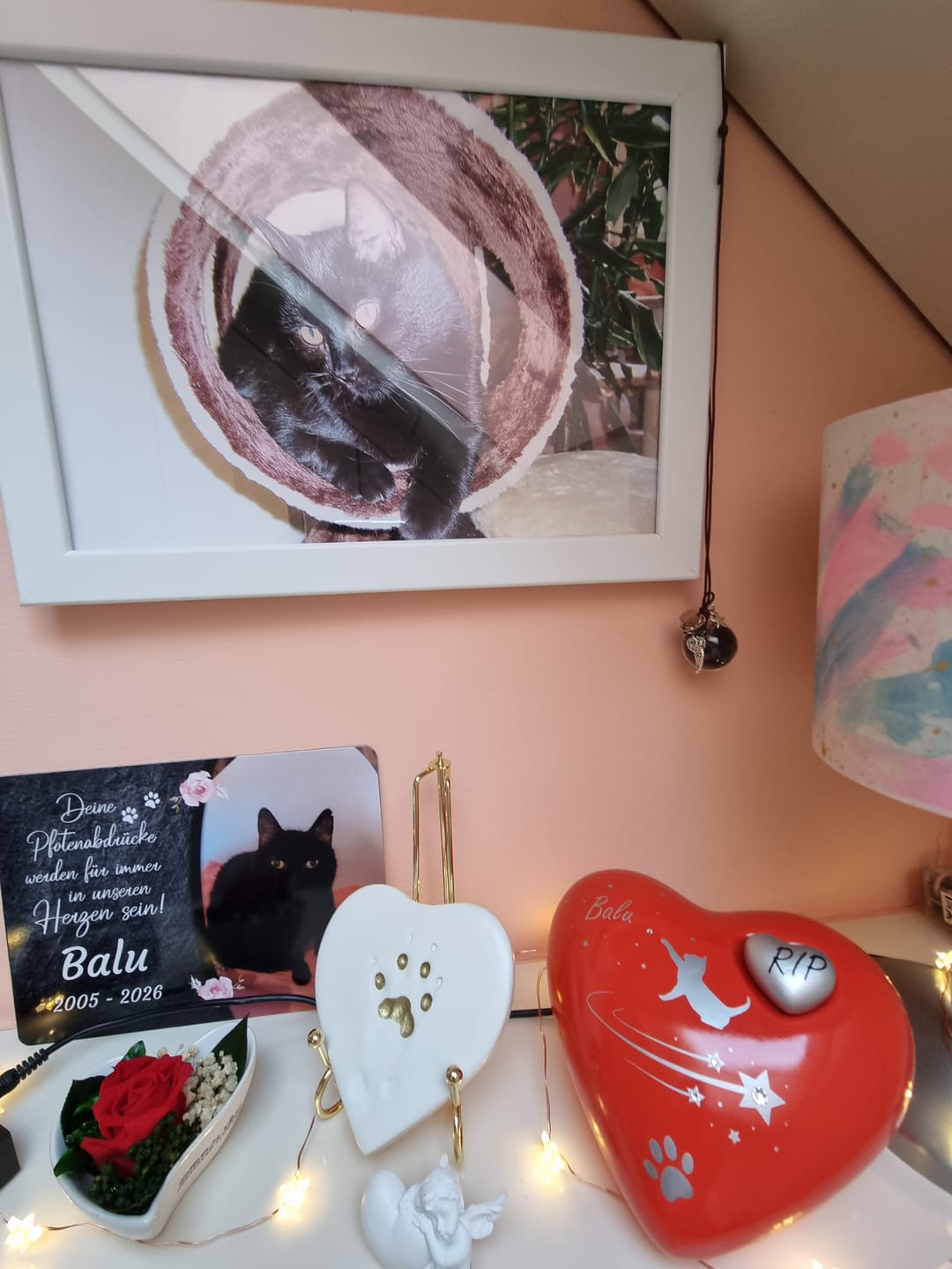 Customer photo review of Katzen Gedenktafel mit Foto & Spruch (UV- & Wetterfest)