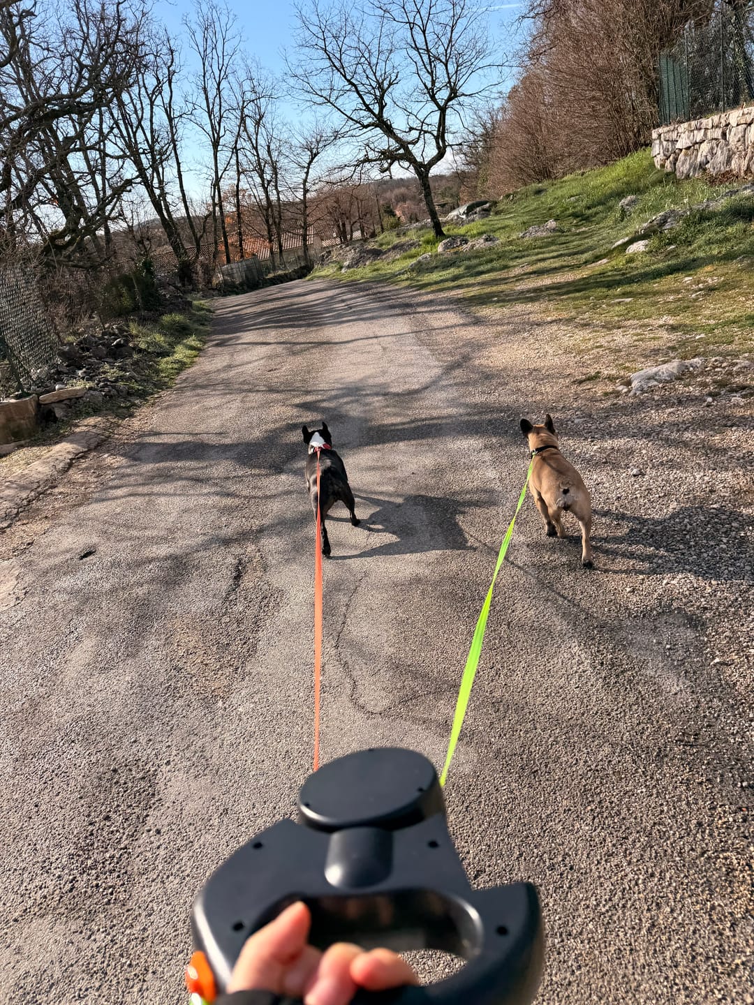 Customer photo review of Laisse double anti-nœud - Duo Flex