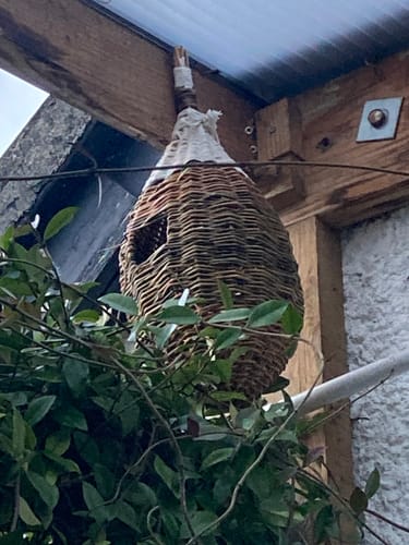 Customer photo review of The Bird Box - Course and Kit