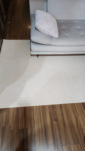 Customer photo review of 微防水矽藻絲 法式立體紋路雕花地毯